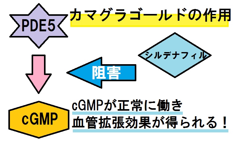 カマグラゴールドの作用